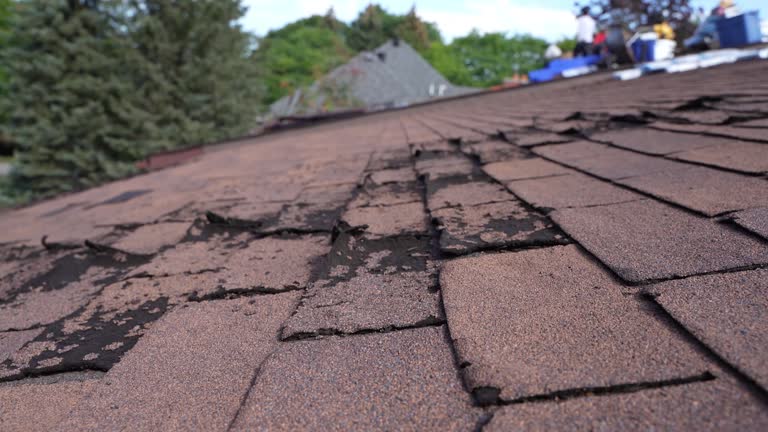 Best Sheet Metal Roofing  in Pittsville, MD