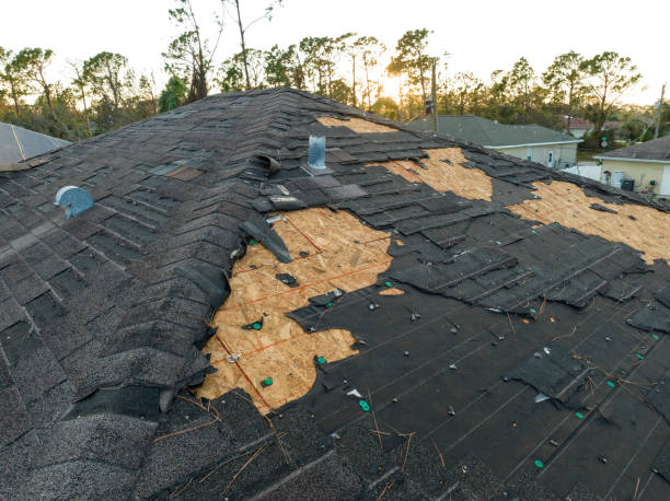 Best Gutter Installation and Repair  in Pittsville, MD