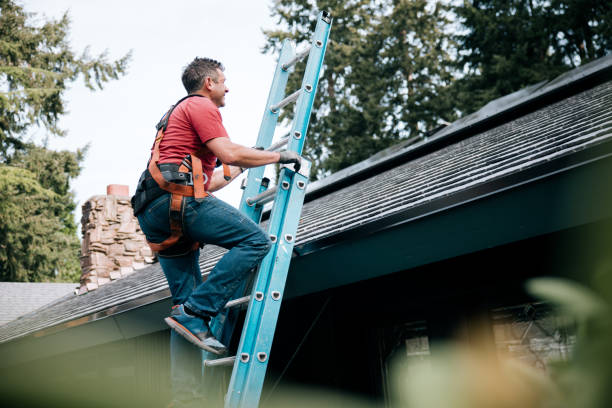Best Green or Eco-Friendly Roofing Solutions  in Pittsville, MD