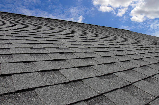 Best Hot Roofs  in Pittsville, MD