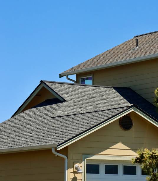 Best Roof Moss and Algae Removal  in Pittsville, MD