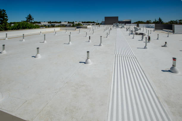 Best Roof Insulation Installation  in Pittsville, MD